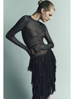 Zara Metallic Knt Sheer Long-Sleeve Fringe Midi Dress
